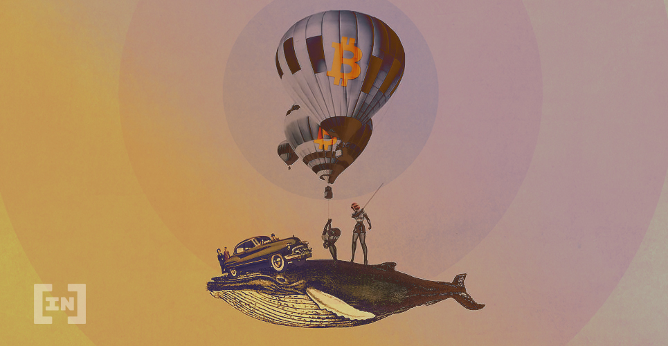 Trigger-Happy Bitcoin Whales Send $24 Million in BTC to Two Exchanges