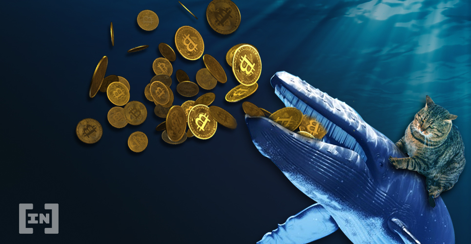  337m whale worth moved bitcoin market cents 