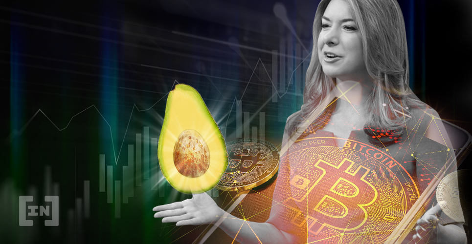 Bitcoin is Once Again Following the Price of Avocados