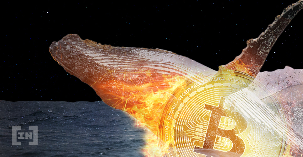  between moved 83m bitcoins whale wallets occurred 