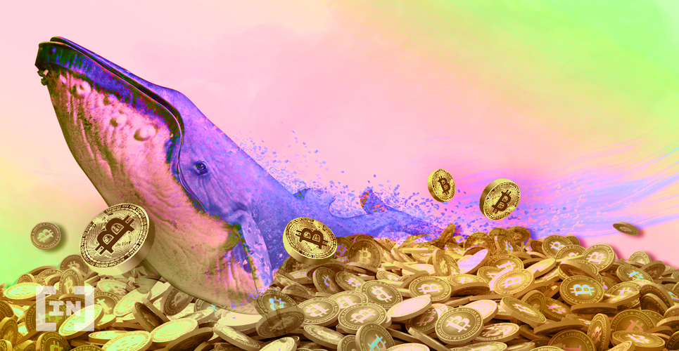Bitcoin Whale Moves $49m Between Wallets (For Only 64 Cents)