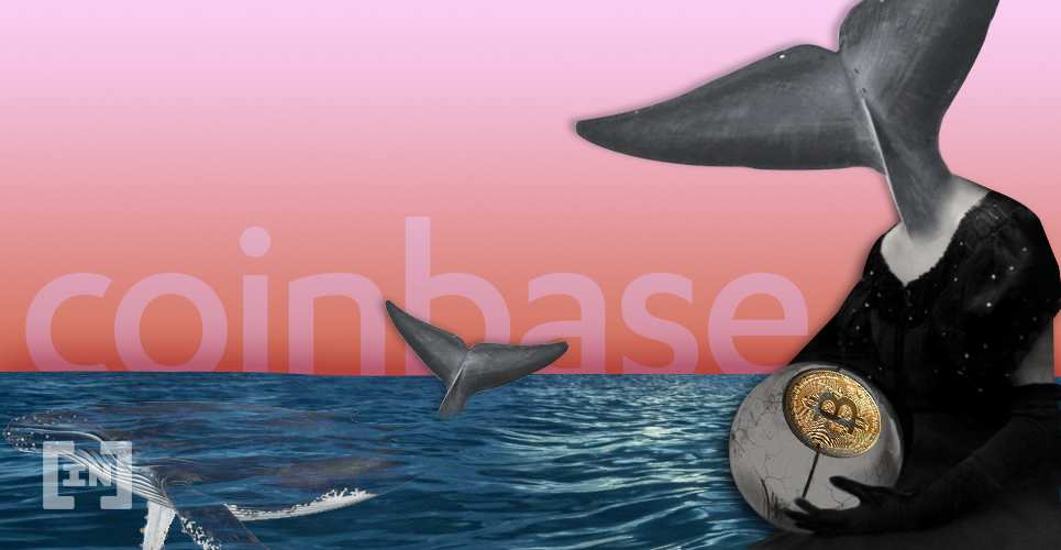 Bitcoin Whale Moves $5 Million in BTC From Coinbase  Time to Accumulate?
