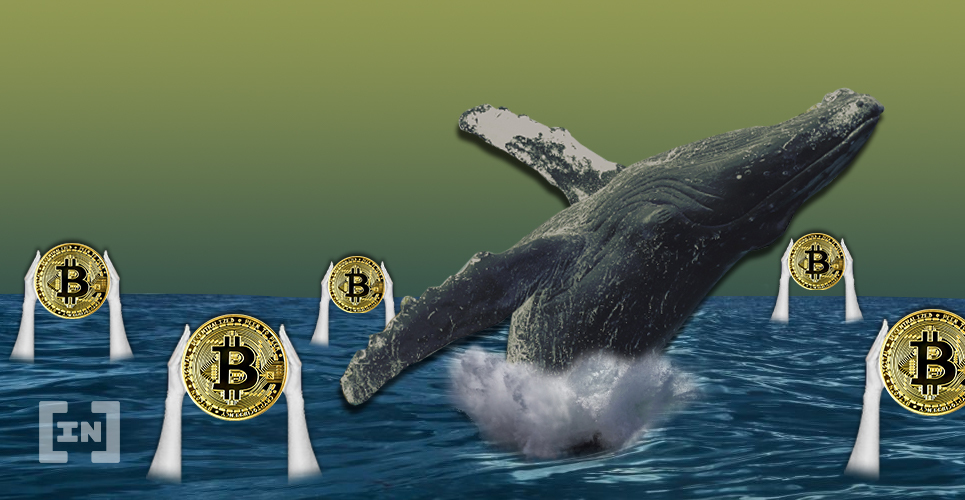  btc whale bitcoin binance transfer cryptocurrency dump 