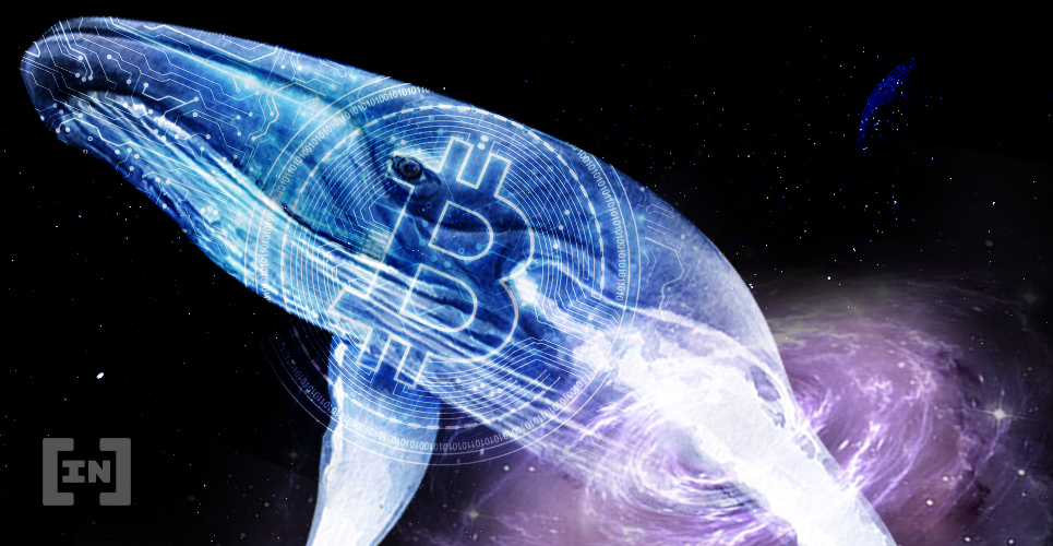 Bitcoin Whale Transfers $12M Worth of BTC to HODL Wallet