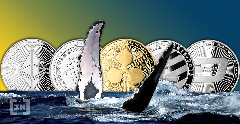  whales each cryptocurrency major altcoin owned much 