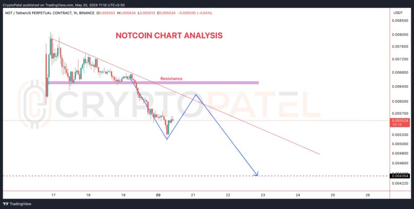 Notcoin (NOT) Faces Turbulent Waters: Token Value Plummets Over 85%
