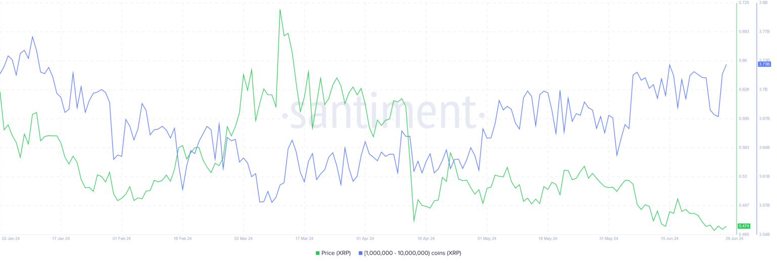 Whales Save Ripple Xrp Price As Investors Give Up
