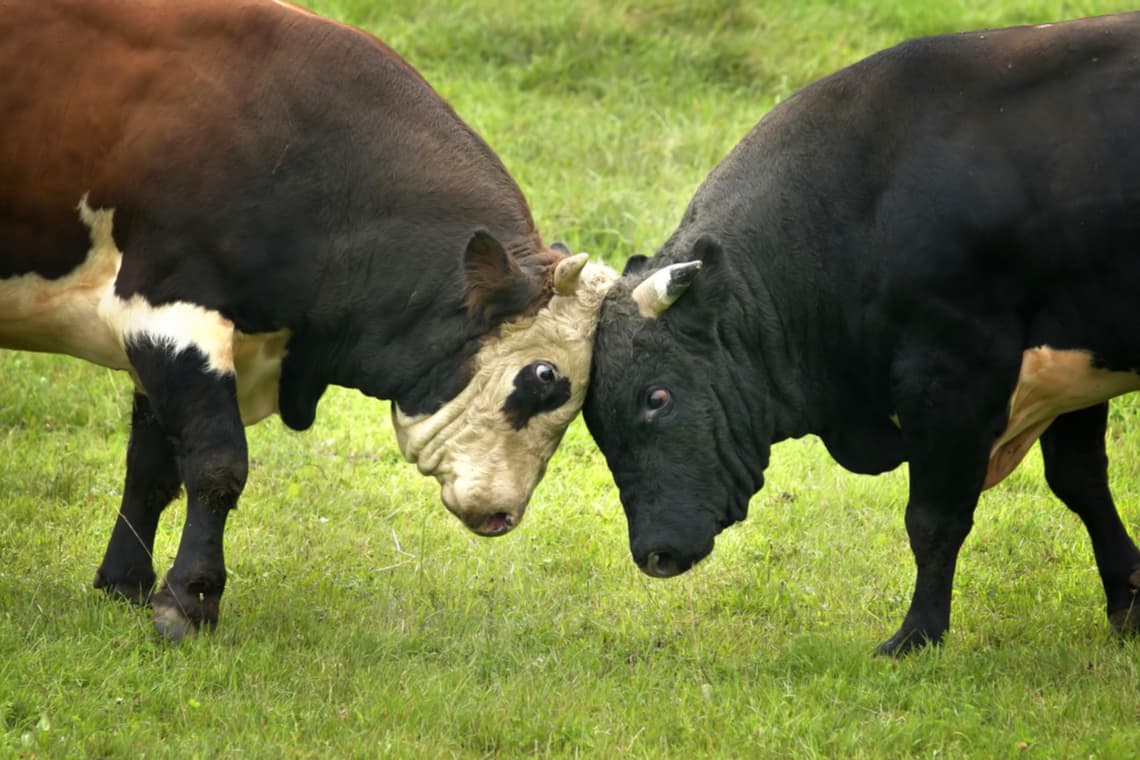Pantera Capital: 2 Catalysts Could Trigger The Next Bull Run