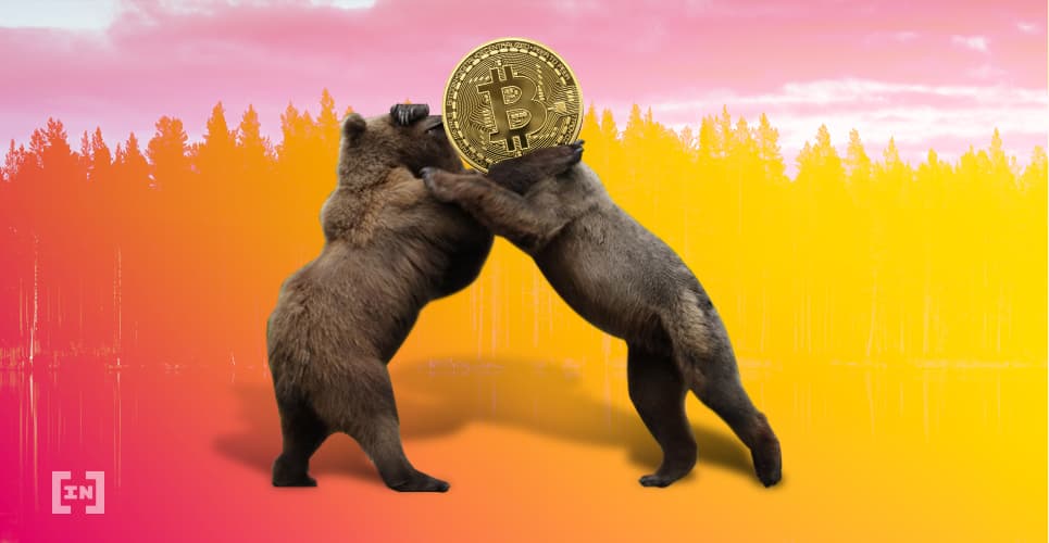 Community Response to Coinbase BUIDL Reflects Overall Crypto Mood