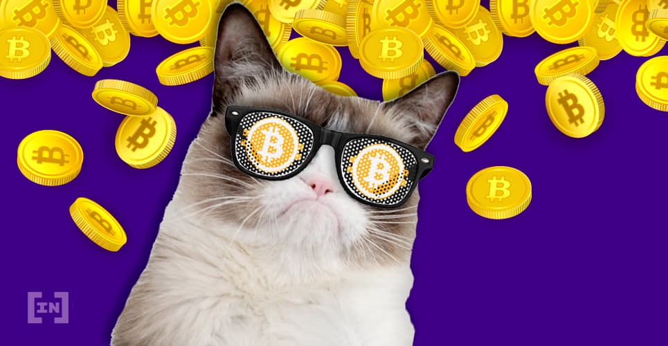 How to Spot a Bitcoin Crash (And Profit From It)