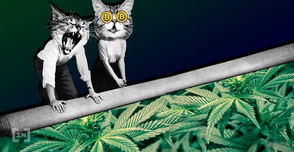 Are Cannabis Stocks a Good Investment Compared With Cryptocurrencies?