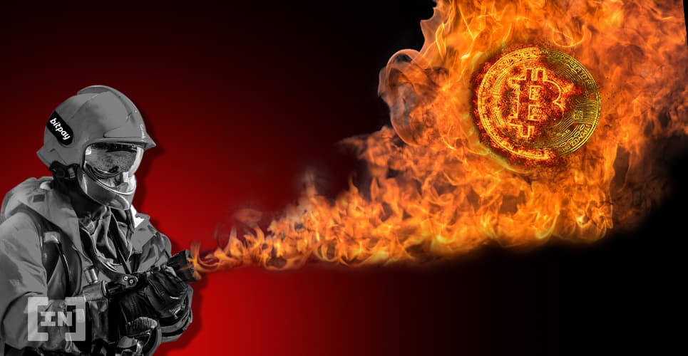 BitPay Rejects $100k Amazon Rainforest Fire Donation