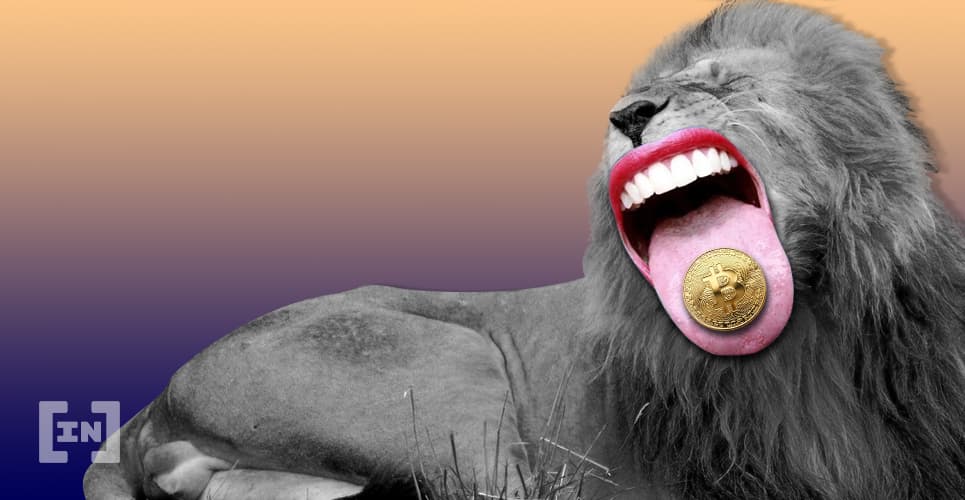 Bitcoin is &#8216;Insanely Bullish&#8217; With a Lot of Room to Grow, Here&#8217;s Why