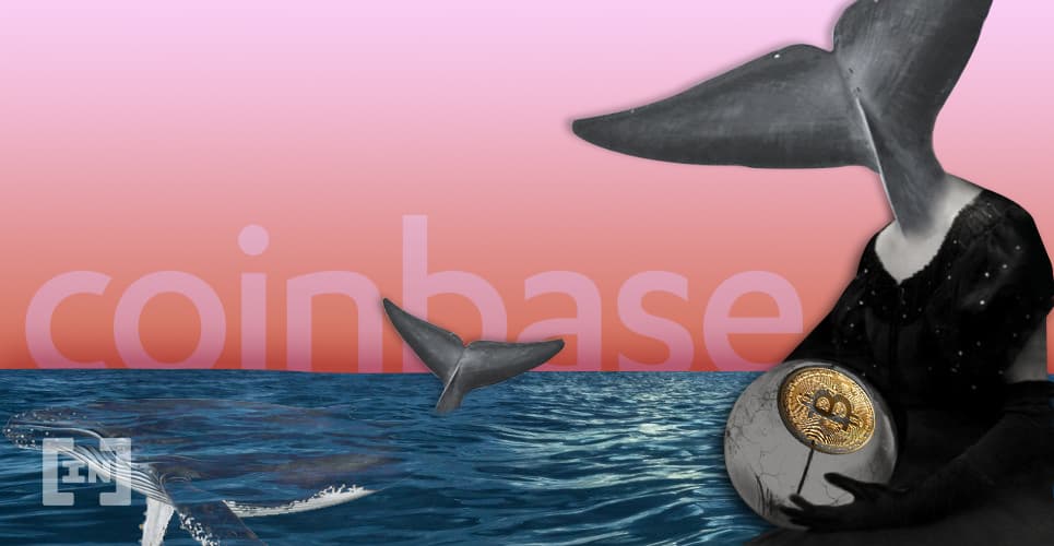Bitcoin Whale Moves $5 Million in BTC From Coinbase — Time to Accumulate?