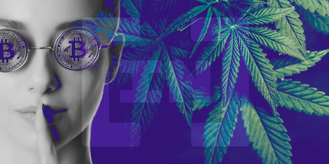Blockchain Provides Legal High for Cannabis Users