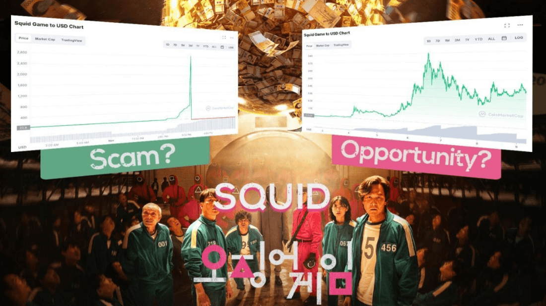 Squid Coin: End of Scam or Rise of a New Community