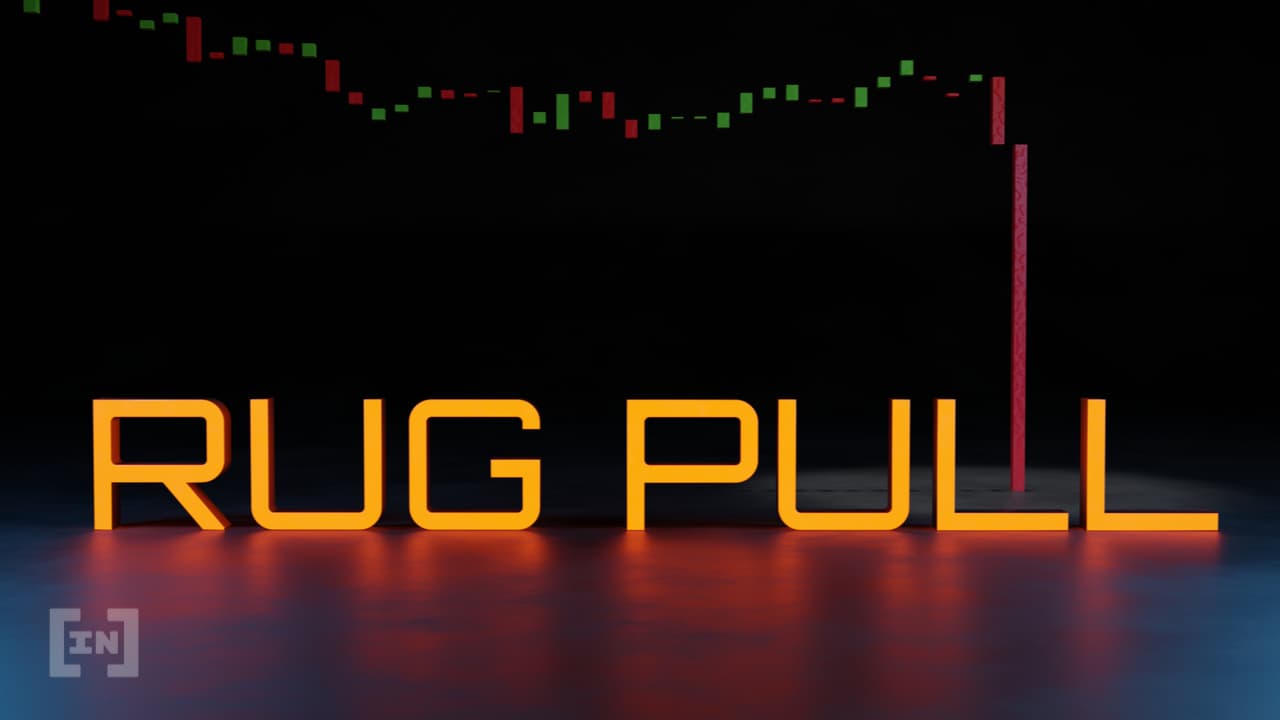 Baby Musk Meme Coin Drops 100% After Rug Pull
