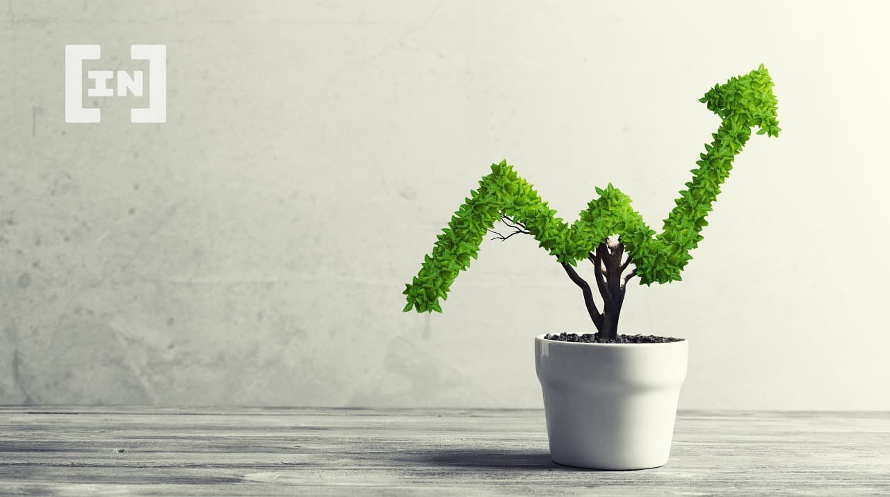 Investing: 11 Steps to Take Before Choosing a Crypto Project