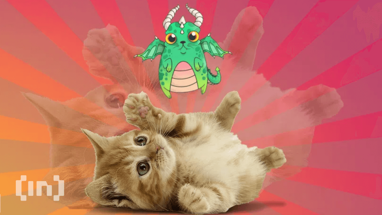 Watch out for a New CryptoKitties Movie