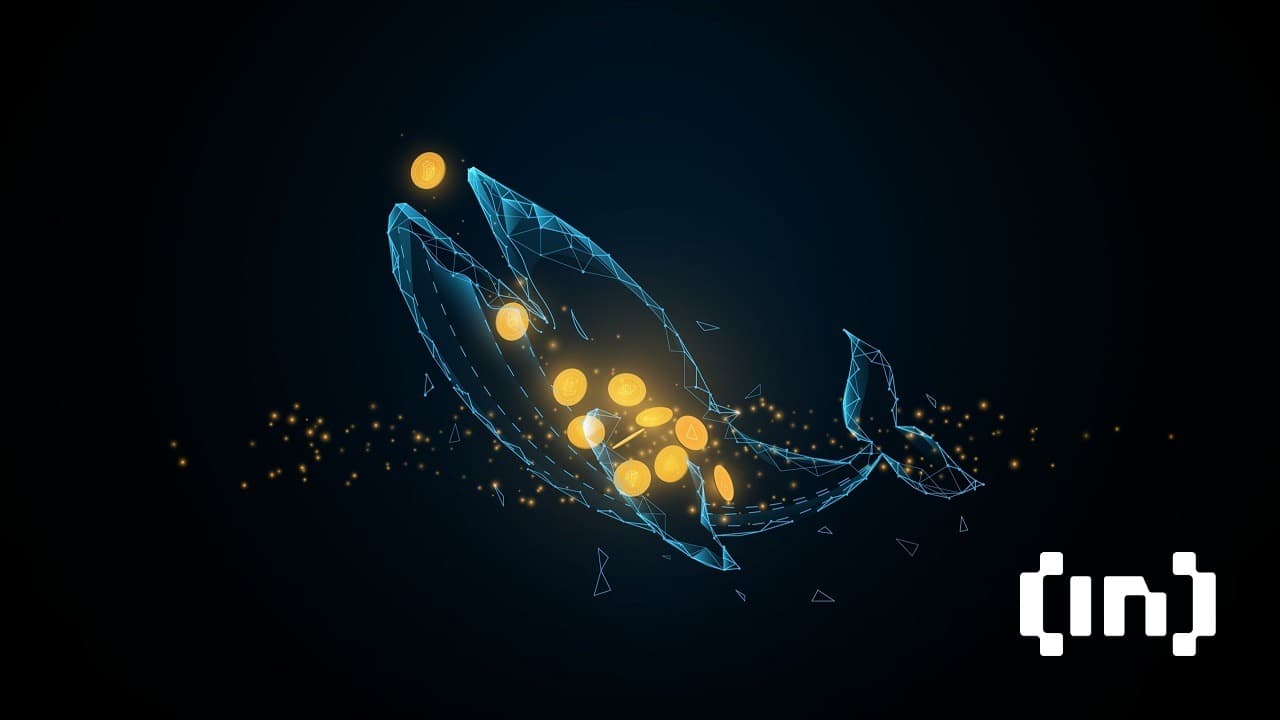 Bitcoin Whales Still Skeptical: What it Means for BTC Price 