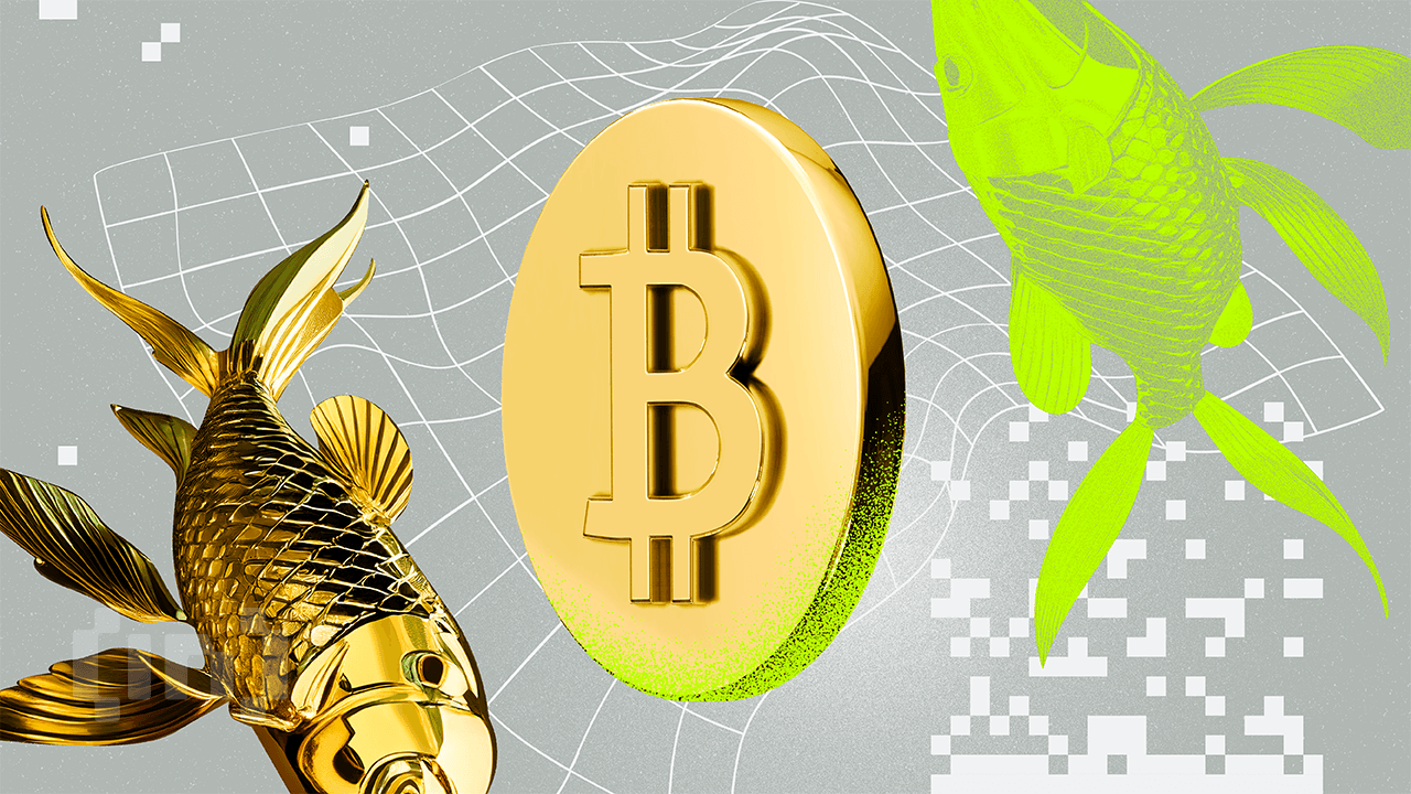 Just Use Bitcoin: Dutch Central Bank Moves €15B in Gold and Cash Via Trucks