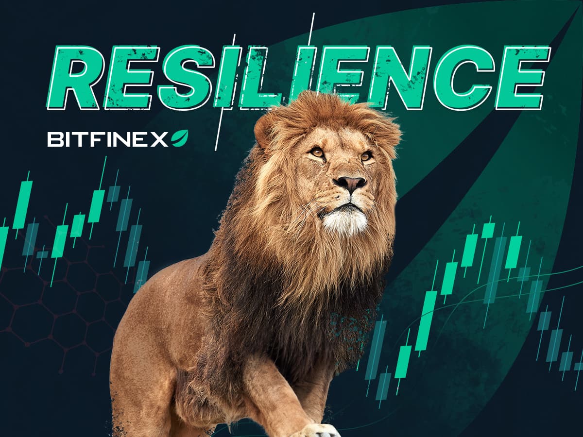 Exploring Bitfinex&#8217;s Journey: How it Adapted and Thrived in Crypto History