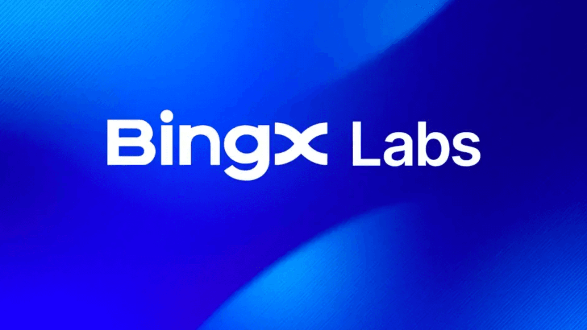 Vivien Lin Leads New BingX Labs to Support Promising Crypto Projects