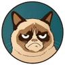 Grumpy Cat