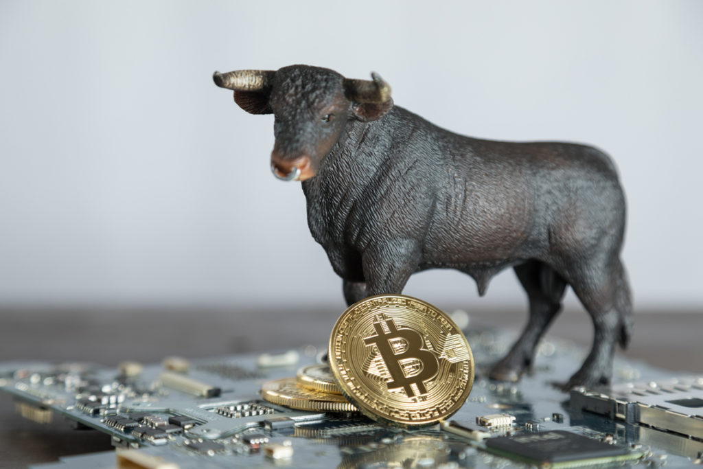 bull bitcoin motherboard