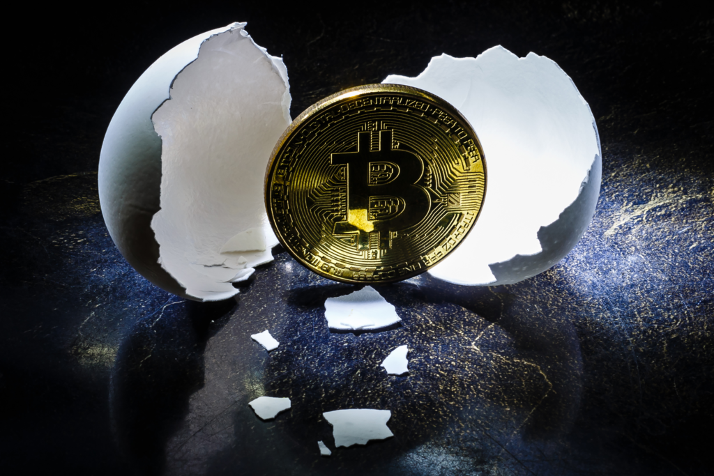 bitcoin origin