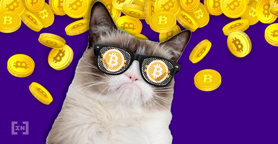 What to Make of Bitcoin’s Sharp Drop Below $9,000