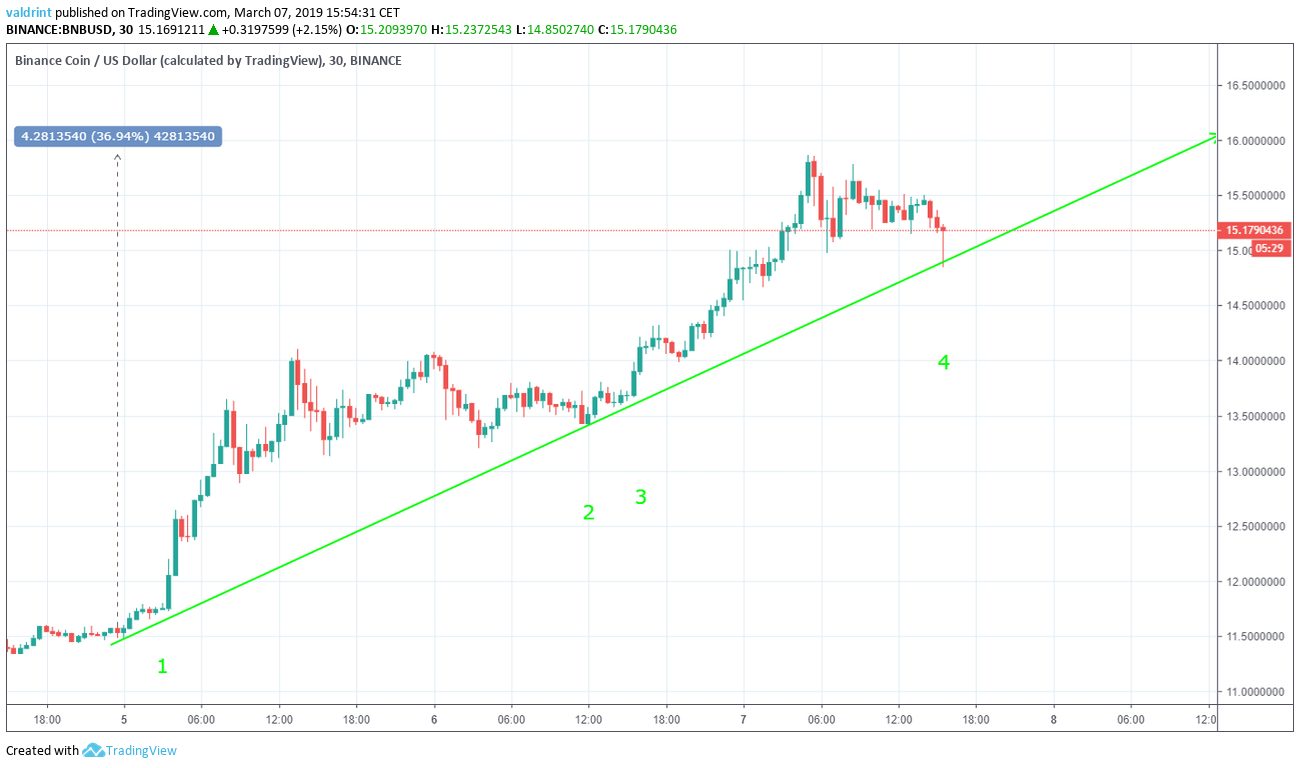 Binance Coin Support