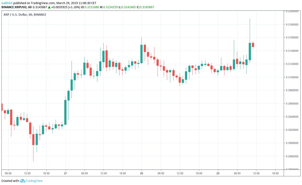 XRP Market Outlook