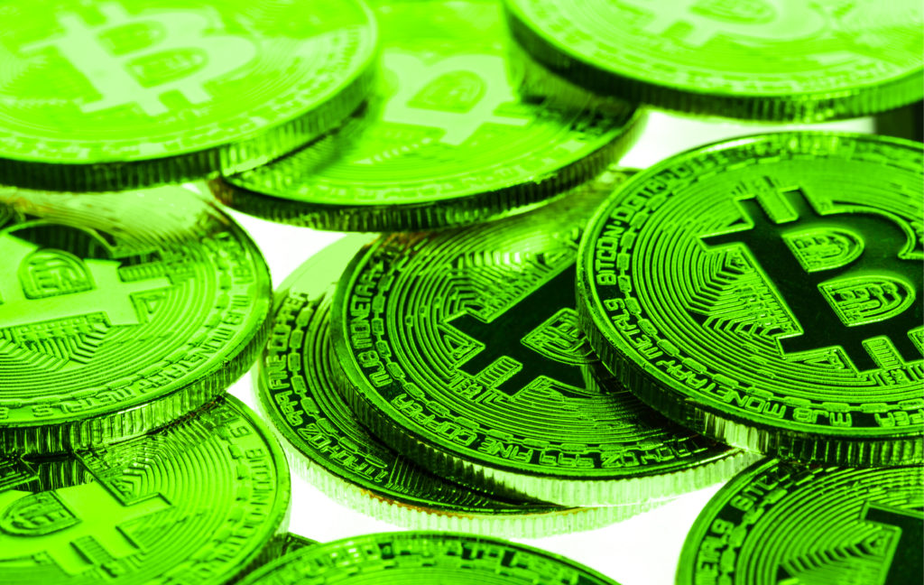 bitcoin halving bull run