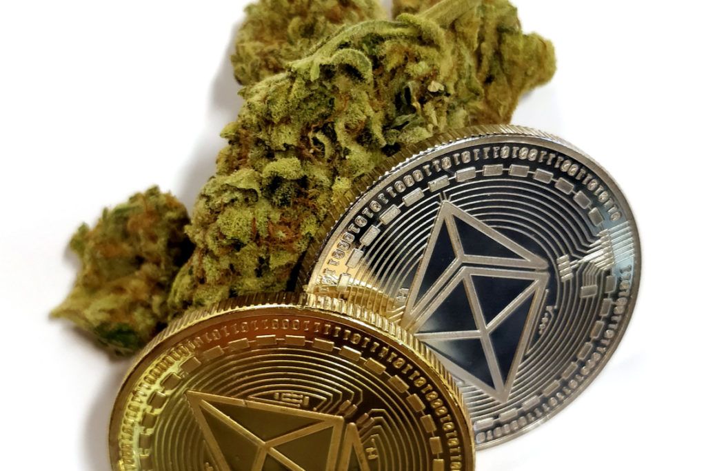 Bitcoin and Ethereum Surge to New High, Cannabis Stocks Can’t Keep Up
