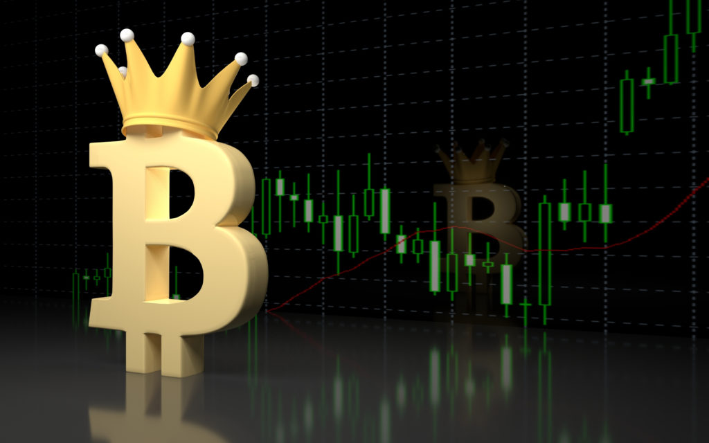 bitcoin king