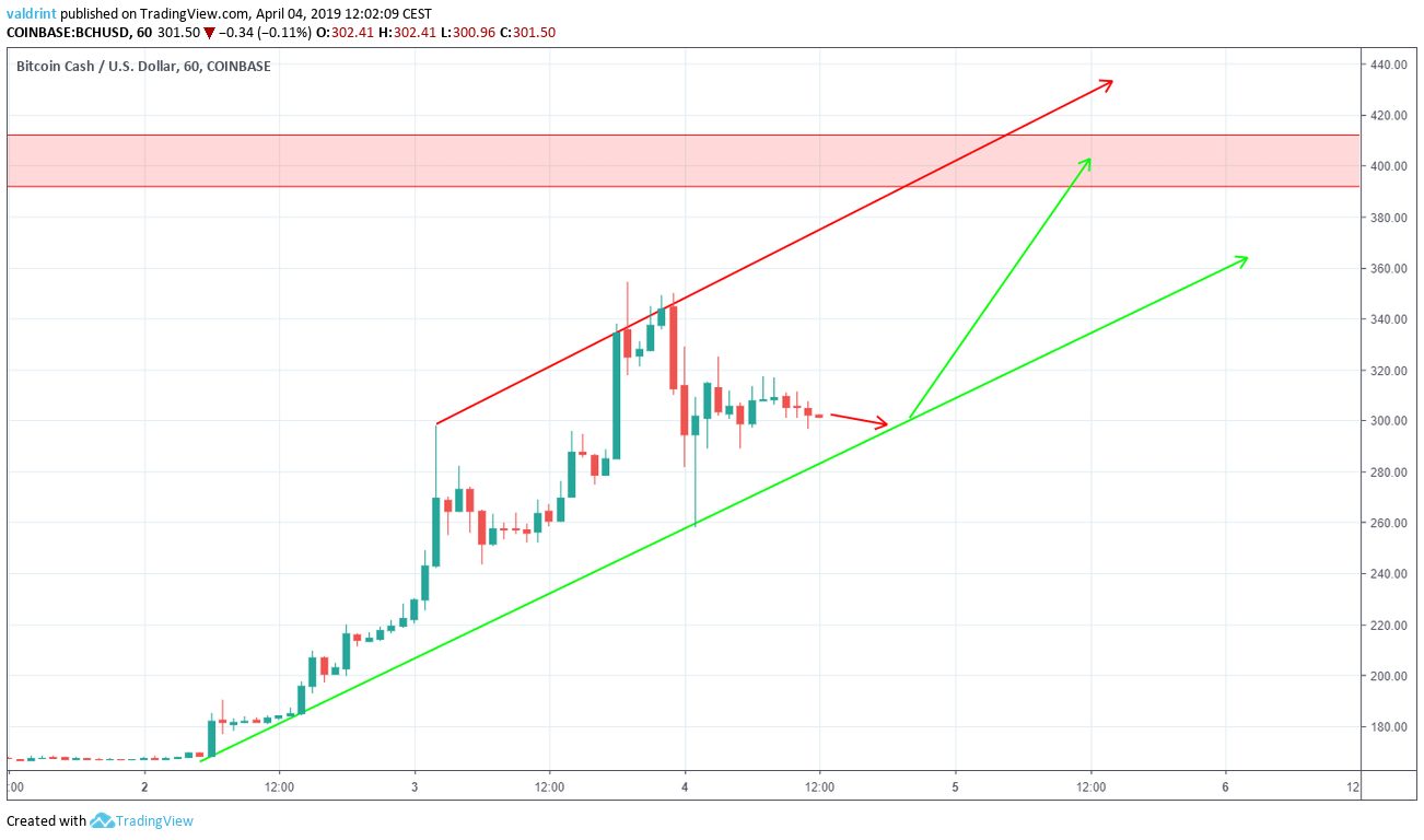 BCH Future Movement