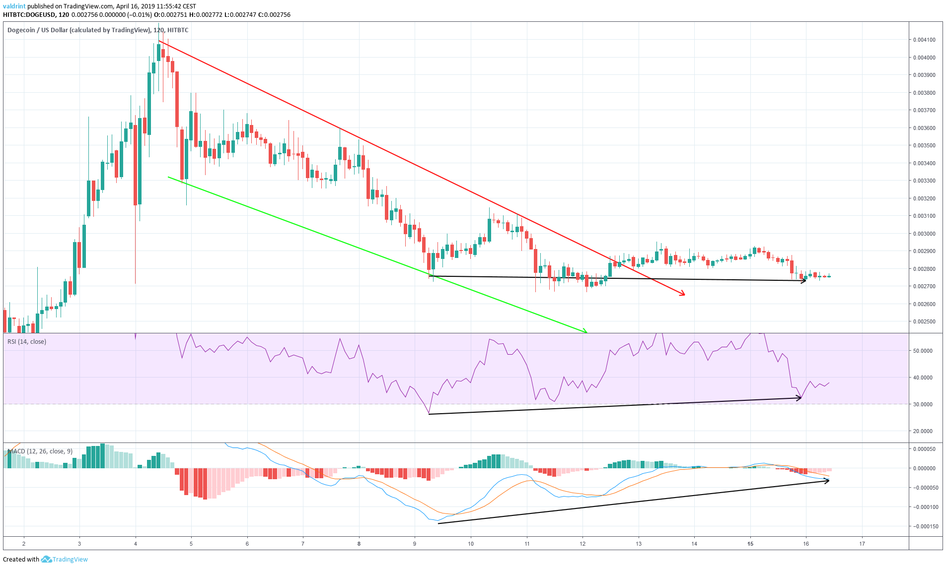 DOGE Divergence