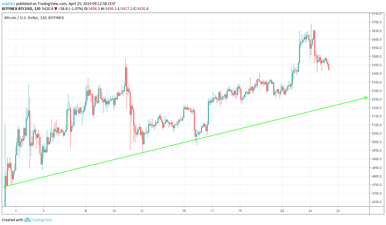 BTC Support