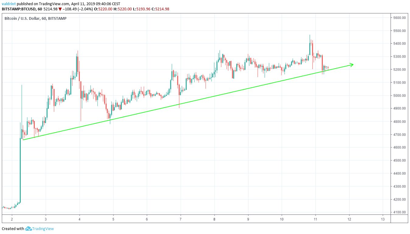 Bitcoin Support