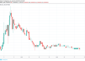 Doge Market Outlook