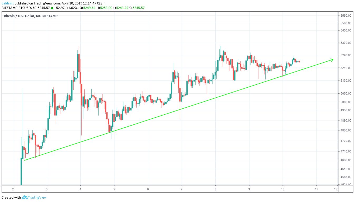 BTC Support