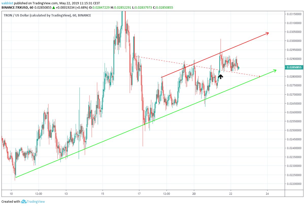 TRX Outlook