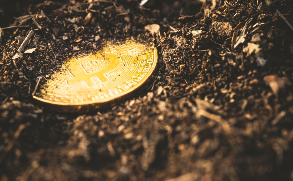 bitcoin gold