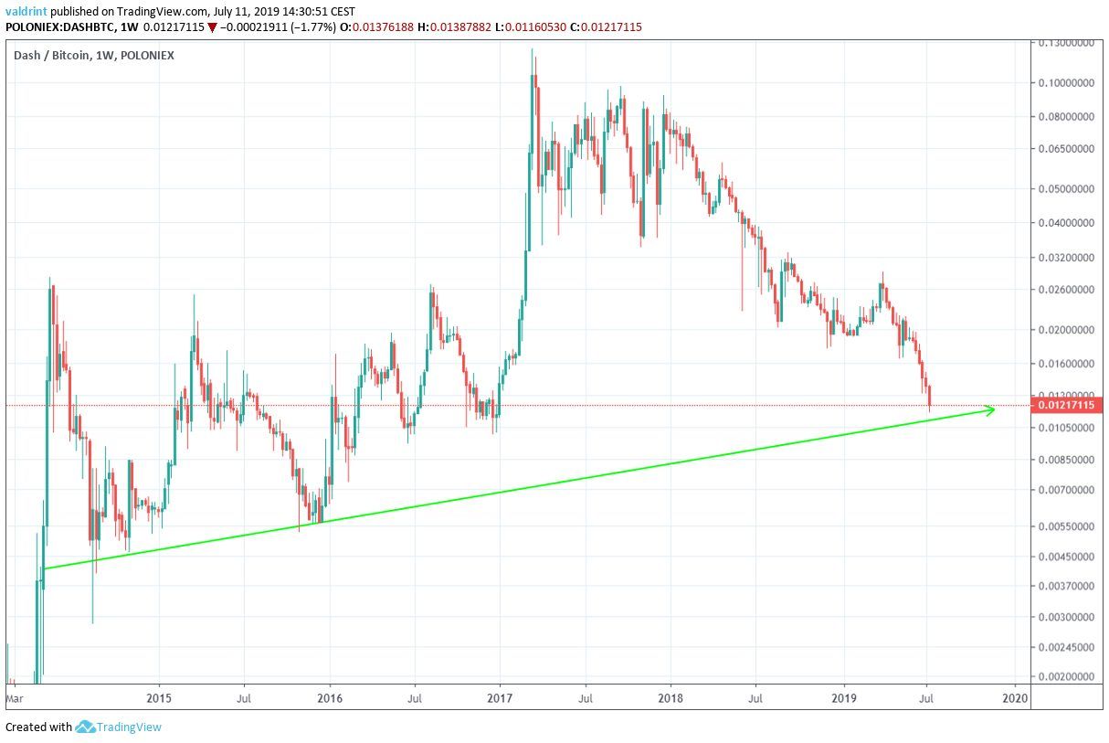 dash price