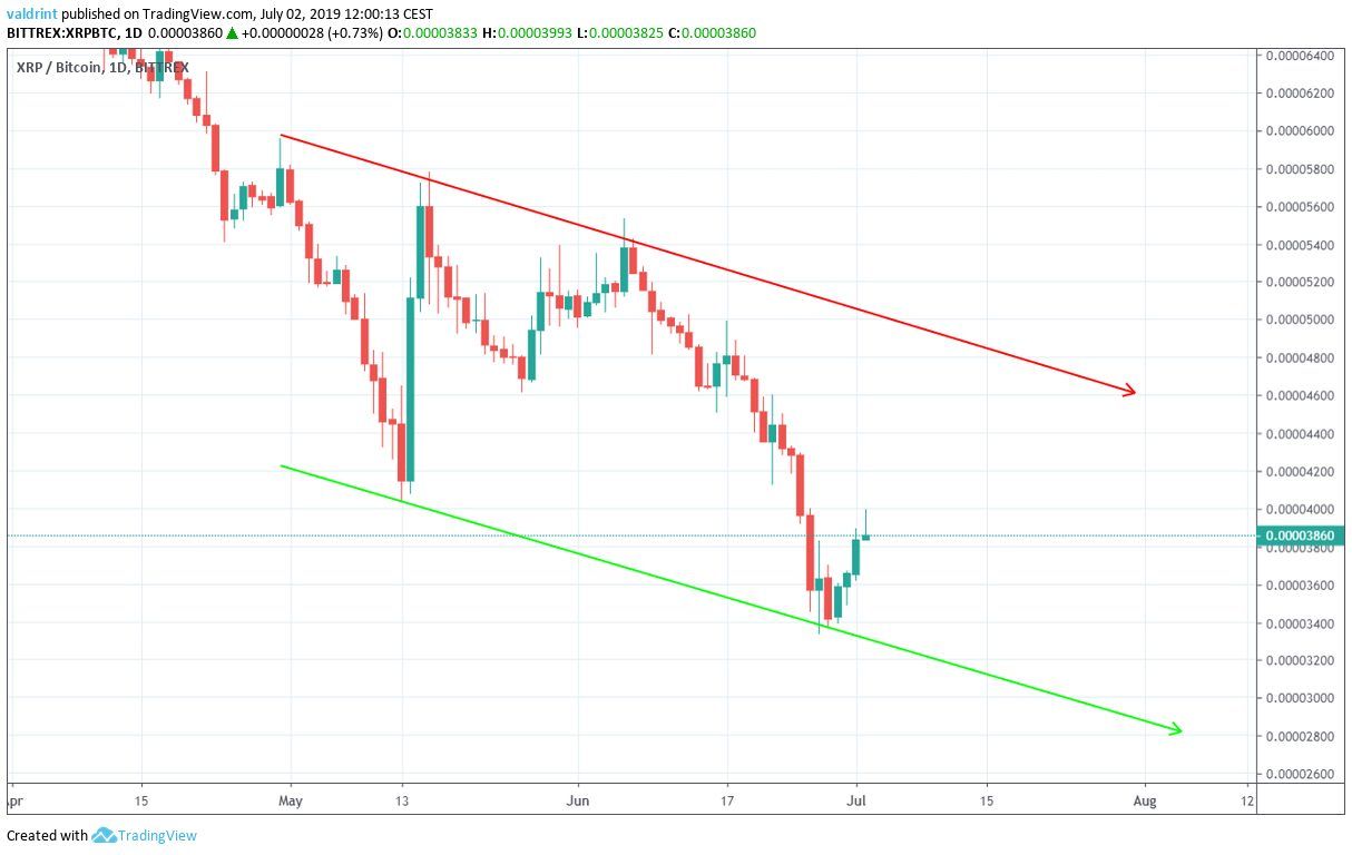 doge price