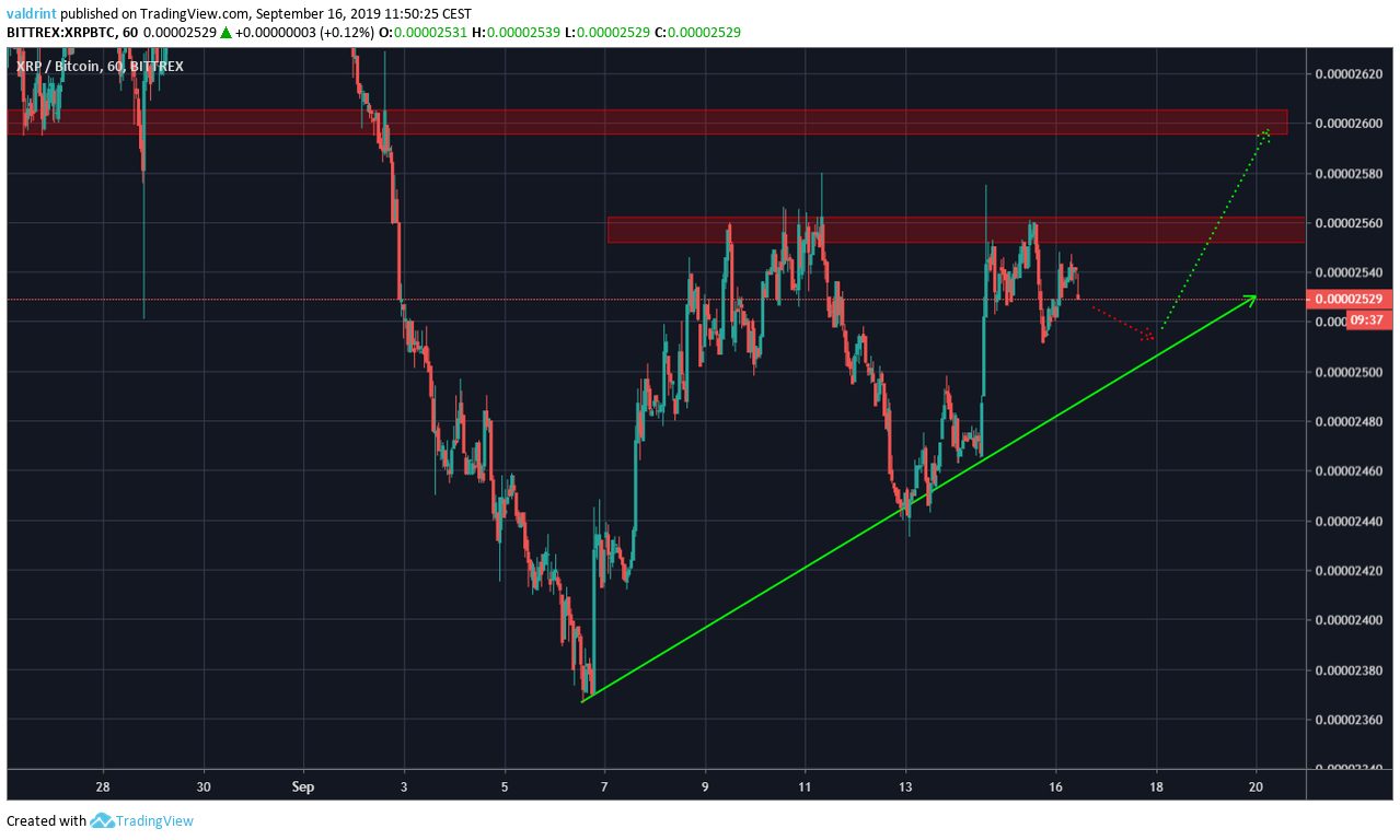 XRP Price