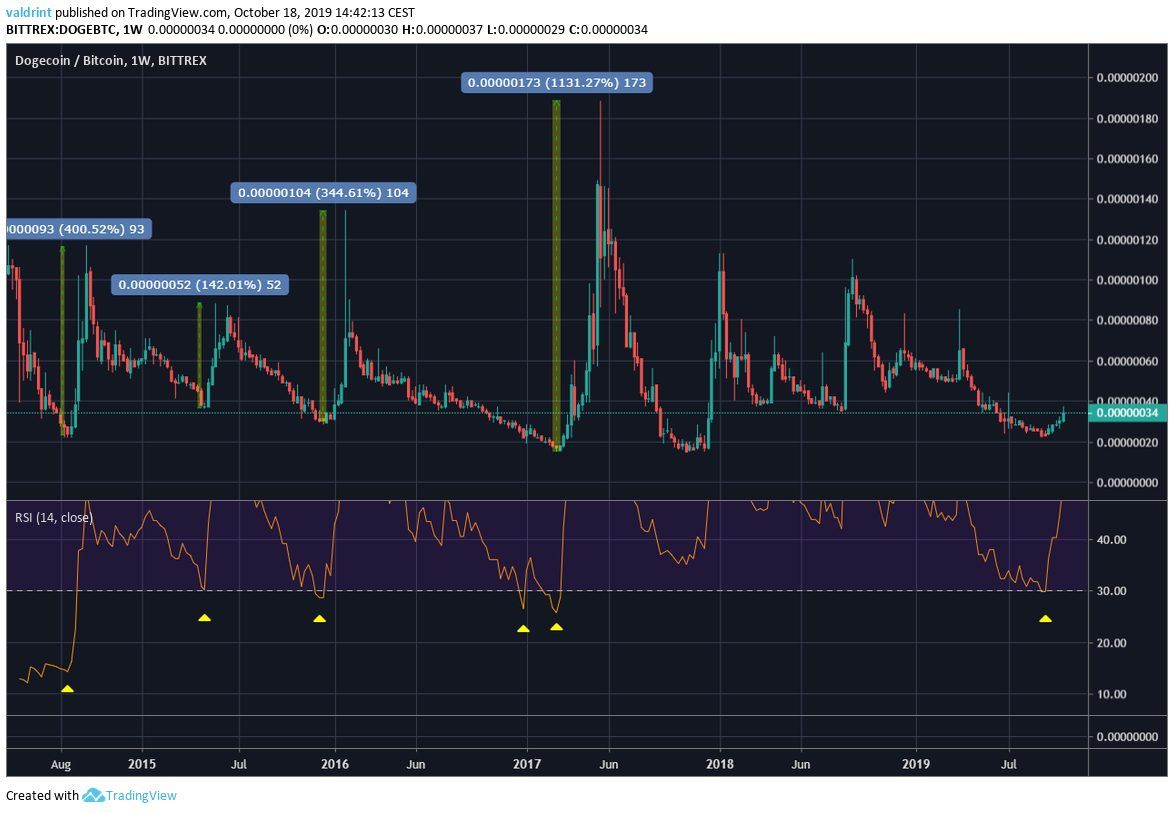 DOGE Bottom