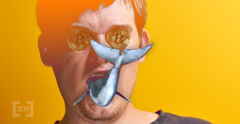 Bitcoin Whale Bittrex