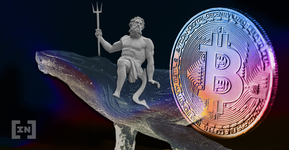 Bitcoin BTC Whale Bull